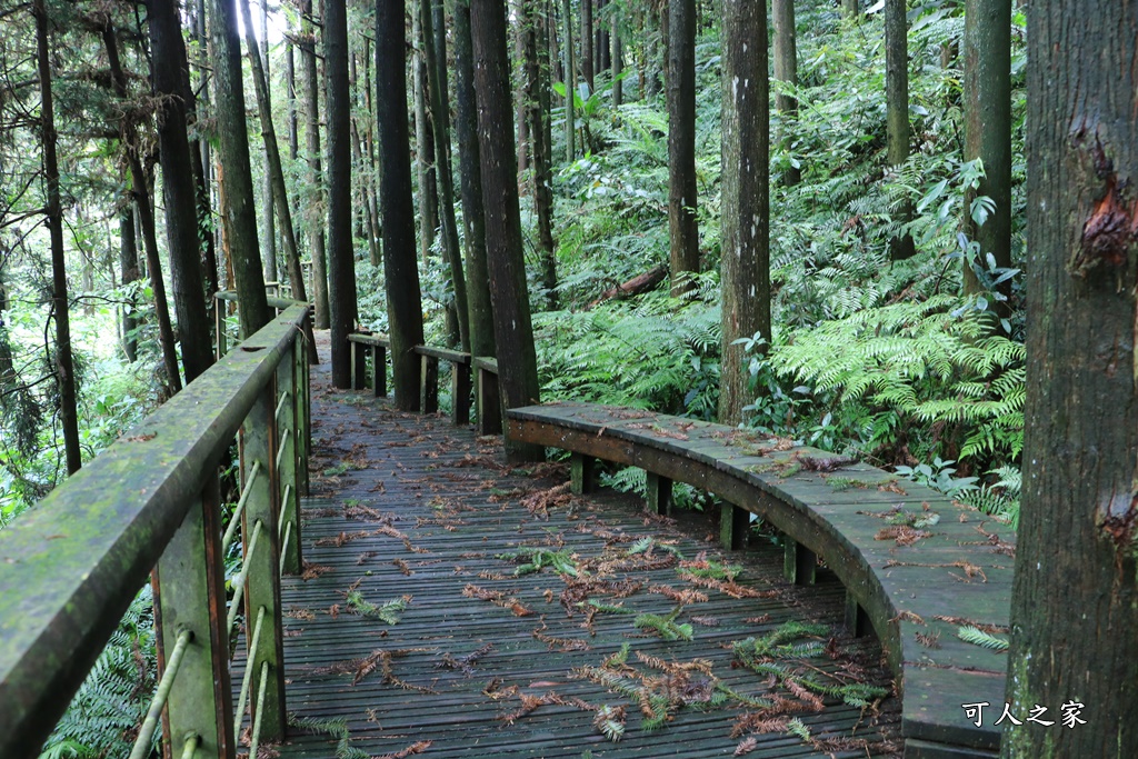 仙人堀步道