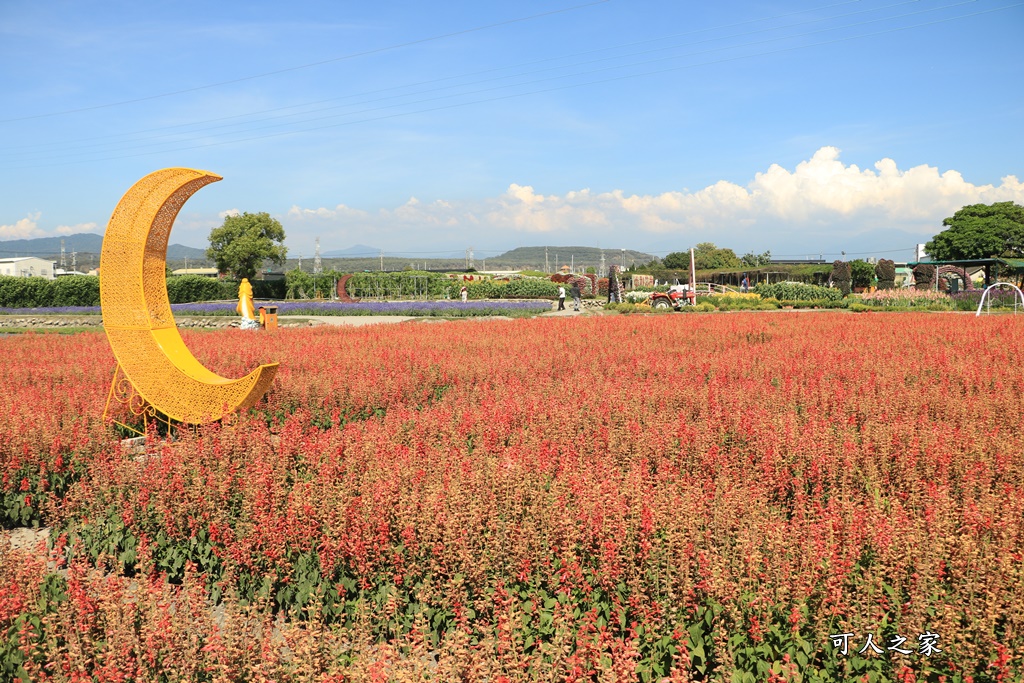 中社觀光花市