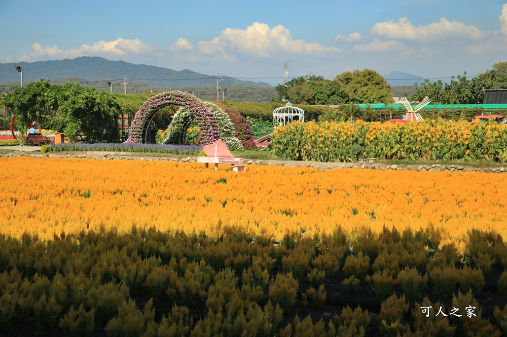 中社觀光花市