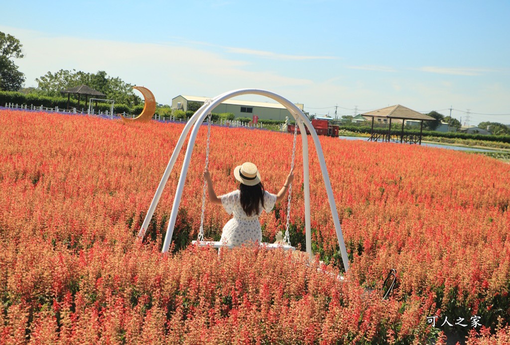 中社觀光花市