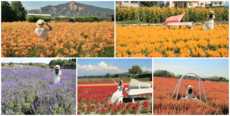 中社觀光花市,台中賞花一年四季,台中金針花,后里景點,后里烤肉吃到飽 @可人之家