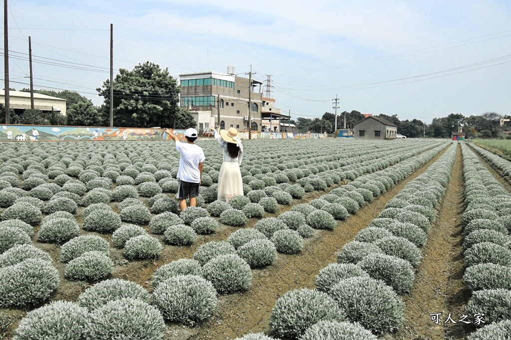 虎尾波波草秘境