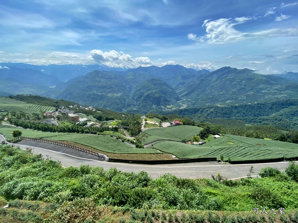 碧湖山觀光茶園