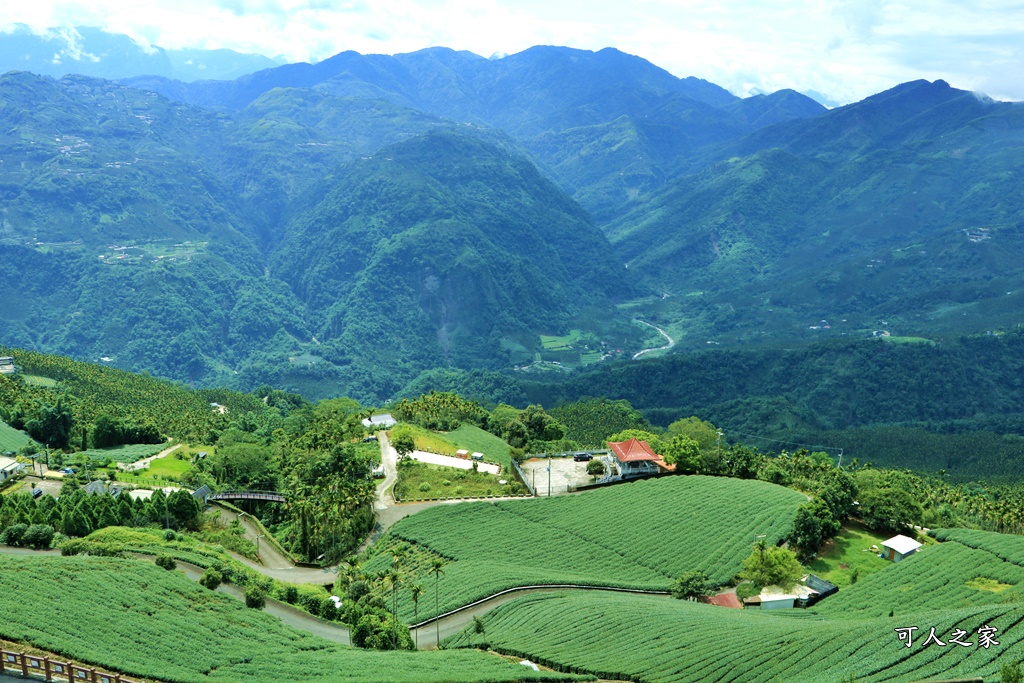 碧湖山觀光茶園