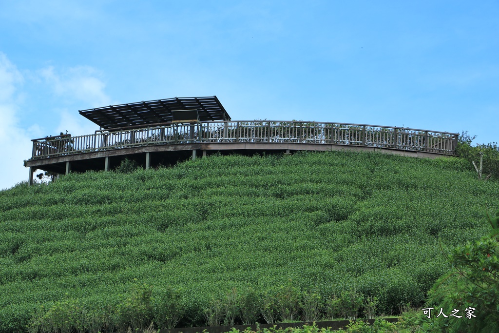 碧湖山觀光茶園