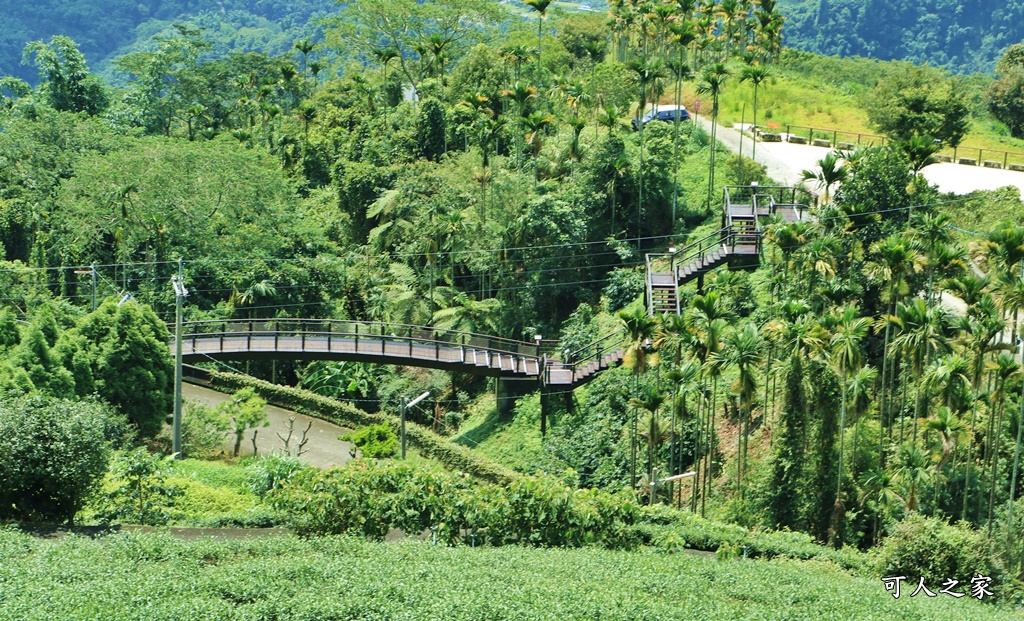 碧湖山觀光茶園