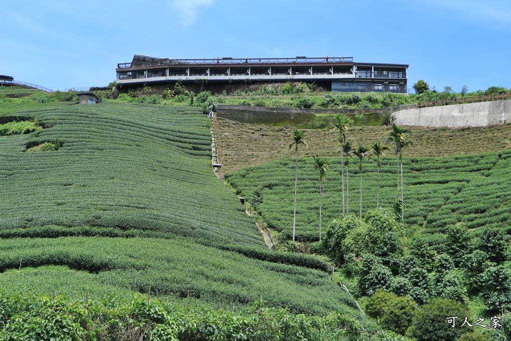 碧湖山觀光茶園