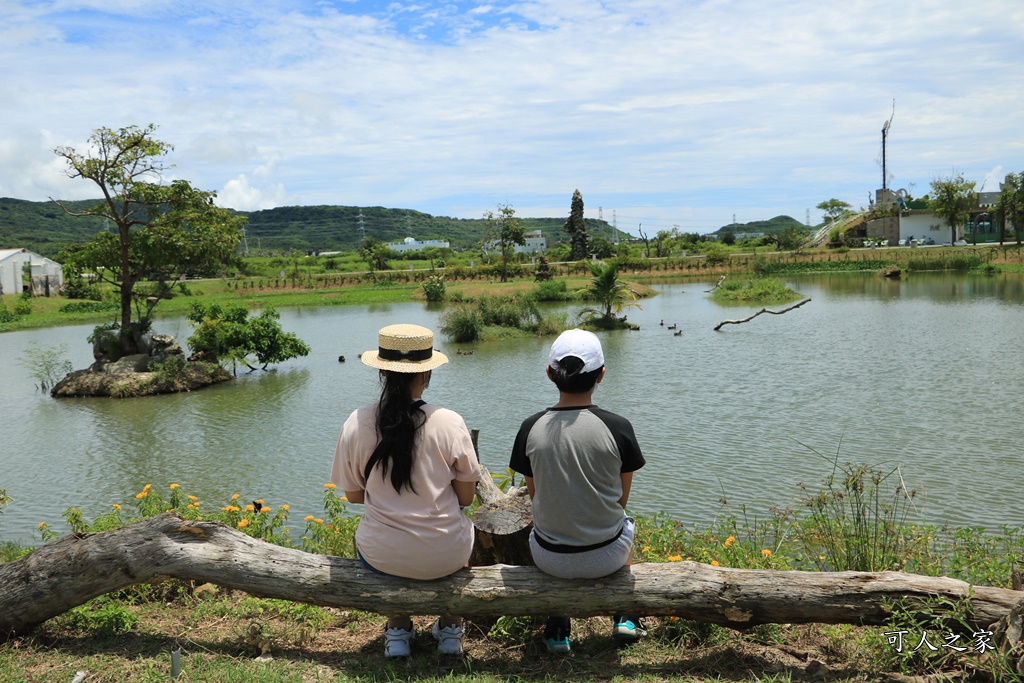 鳥族8號太空站、亞馬遜生休閒農場