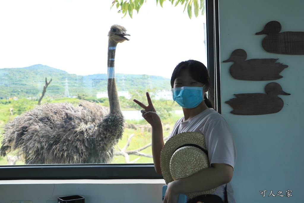 鳥族8號太空站、亞馬遜生休閒農場