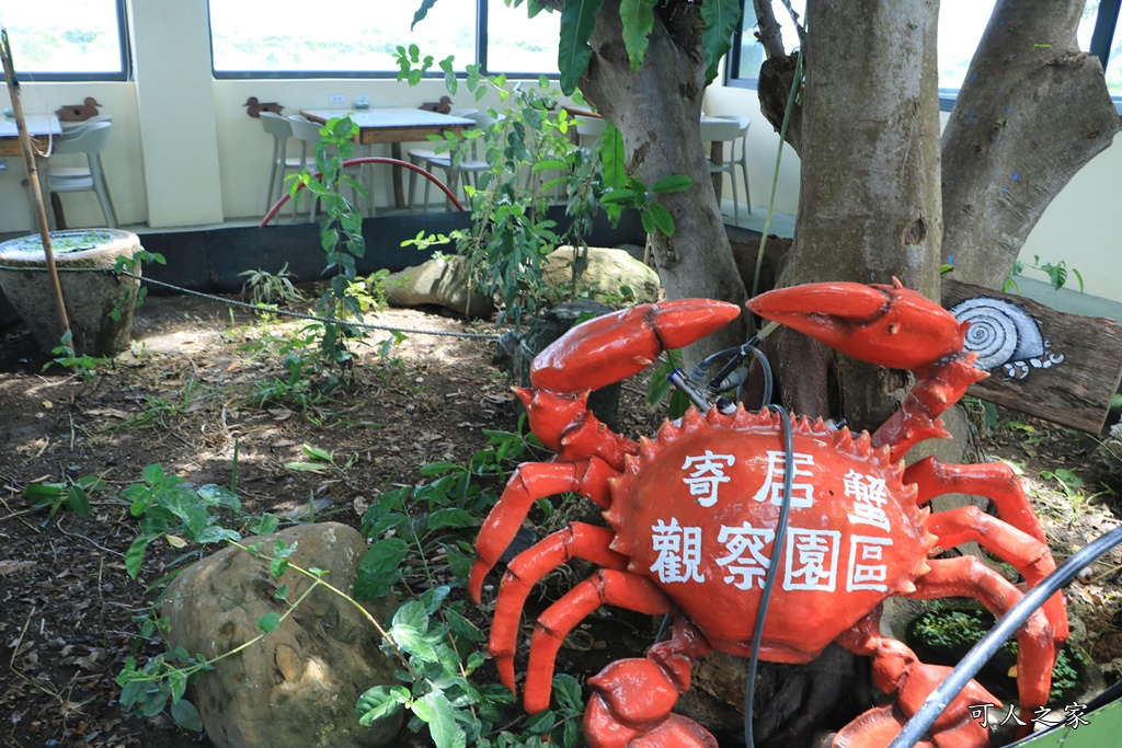 鳥族8號太空站、亞馬遜生休閒農場