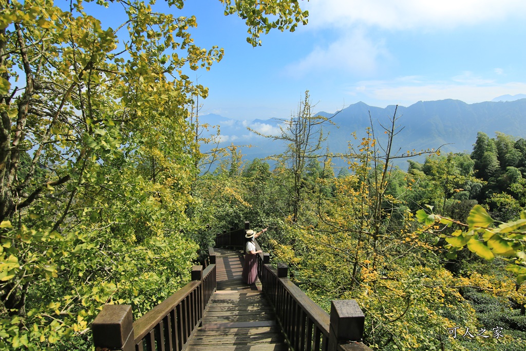 武岫農圃、大崙山觀景台、銀杏森林