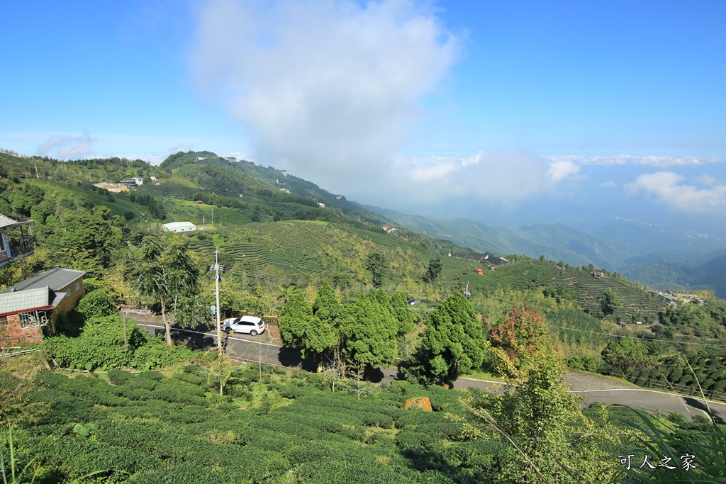 武岫農圃、大崙山觀景台、銀杏森林