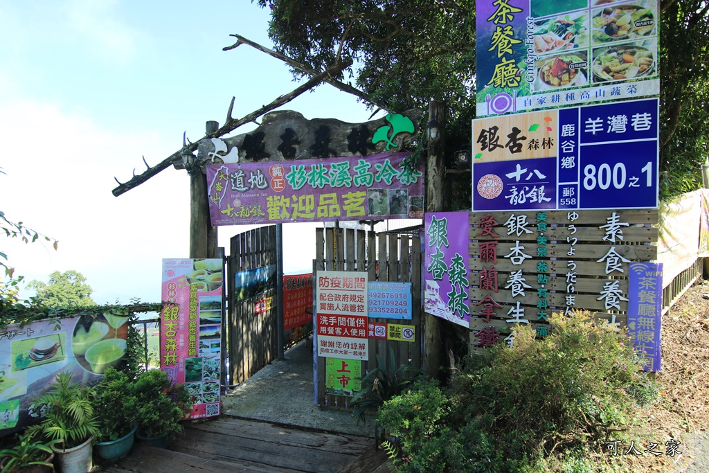 武岫農圃、大崙山觀景台、銀杏森林