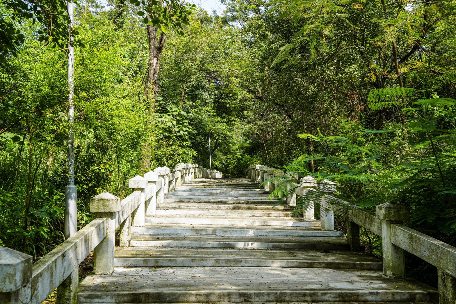 澄清湖九曲橋