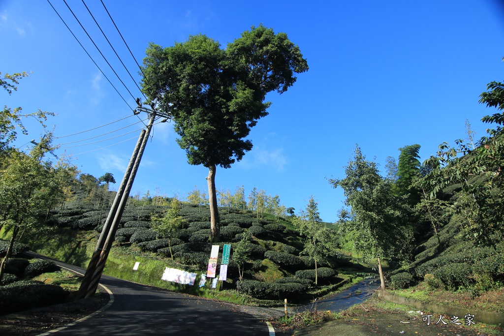 松安景觀廣場