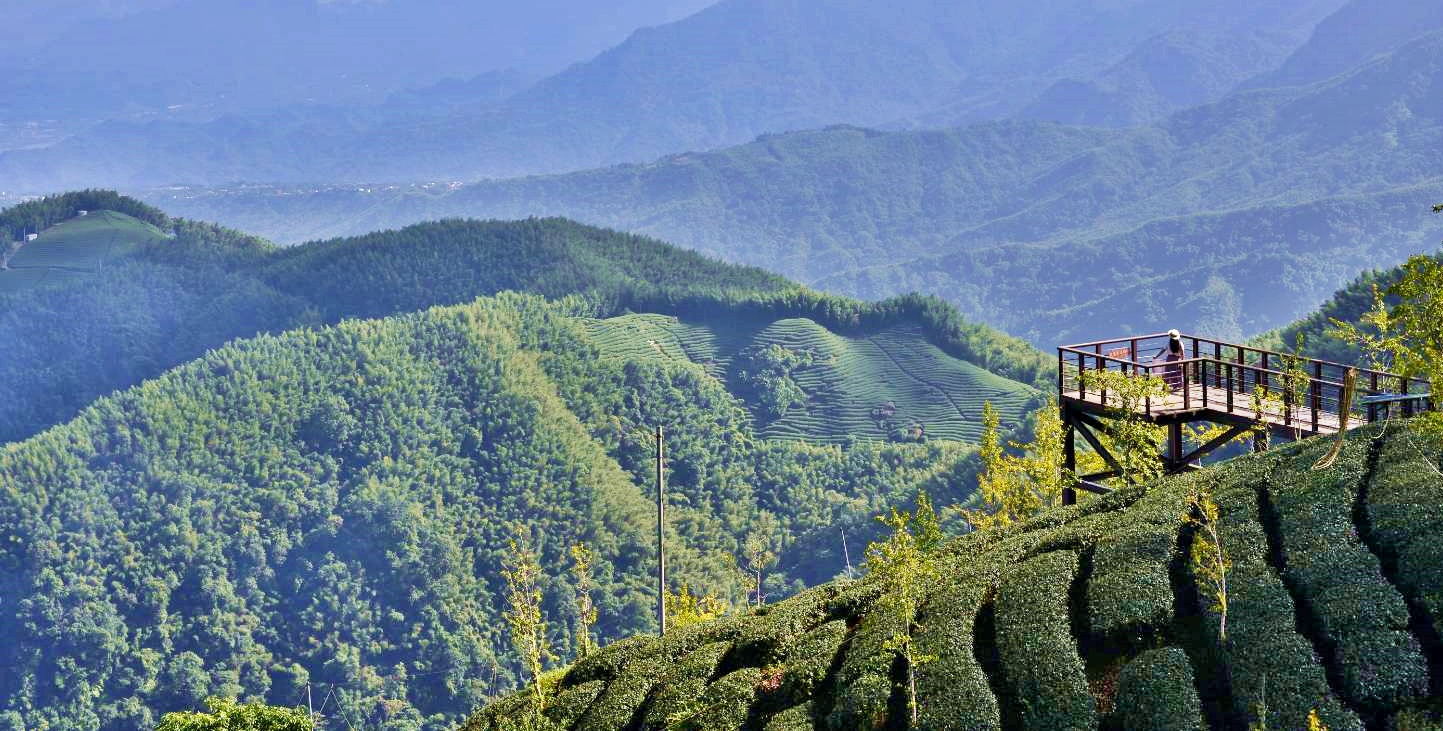 南投野餐,山景第一排,新景點,松安景觀台,松安景觀廣場,超強景觀台,銀杏茶園 @可人之家