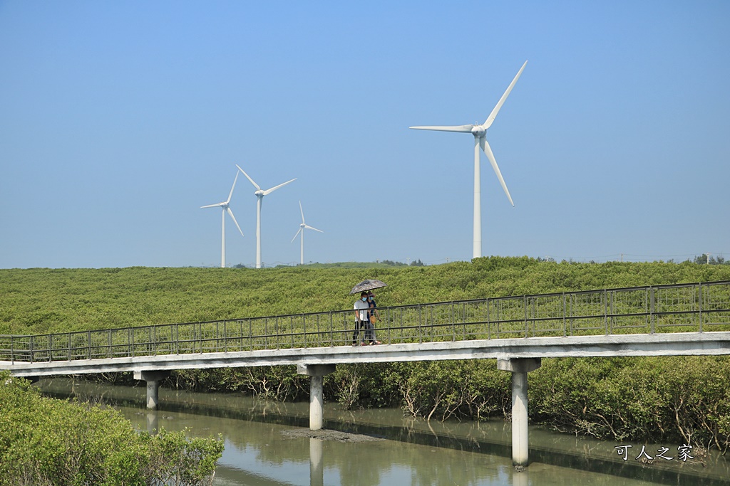 芳苑鄉紅樹林海空步道、彰化芳苑