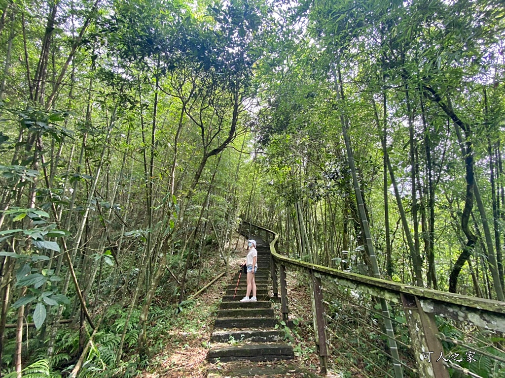 嘉義梅山景點,太平國小,太平雲梯附近景點,孝子路步道