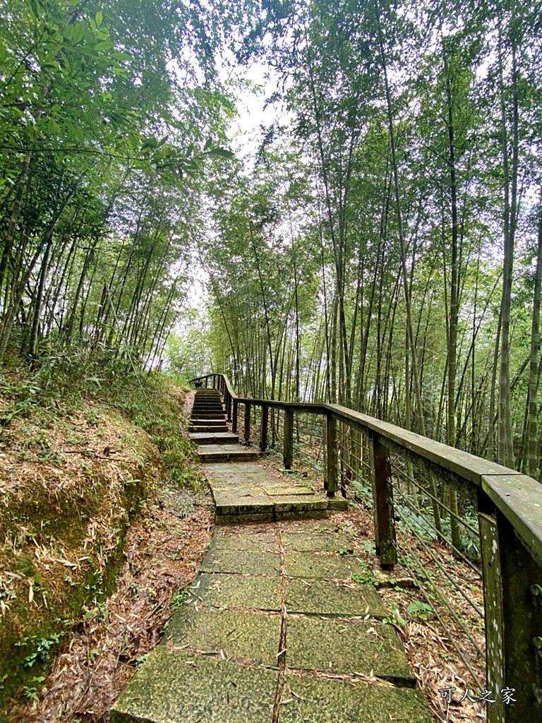 嘉義梅山景點,太平國小,太平雲梯附近景點,孝子路步道