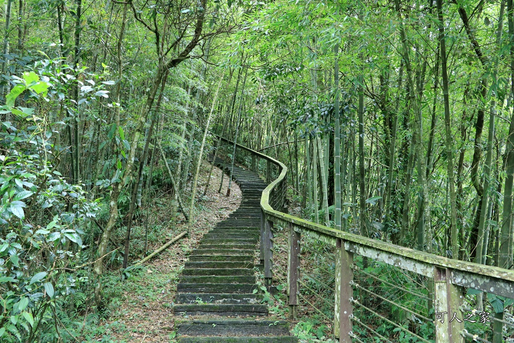 嘉義梅山景點,太平國小,太平雲梯附近景點,孝子路步道