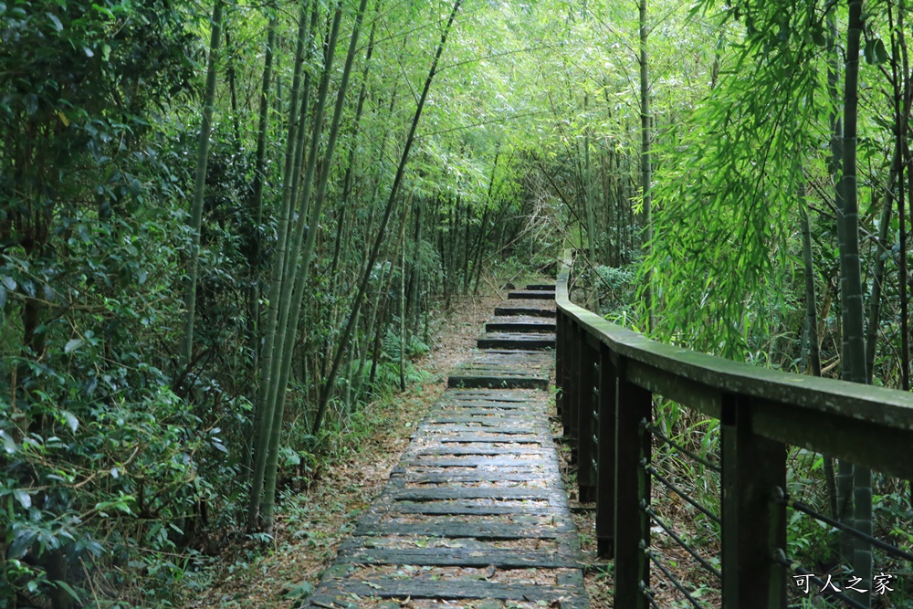 嘉義梅山景點,太平國小,太平雲梯附近景點,孝子路步道