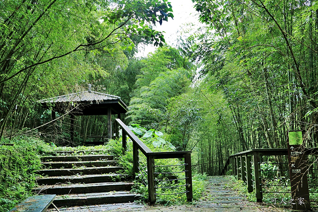 嘉義梅山景點,太平國小,太平雲梯附近景點,孝子路步道