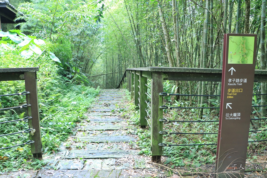 嘉義梅山景點,太平國小,太平雲梯附近景點,孝子路步道