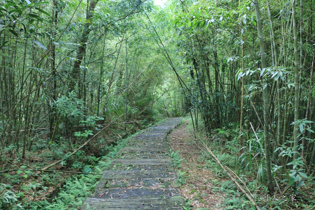 嘉義梅山景點,太平國小,太平雲梯附近景點,孝子路步道