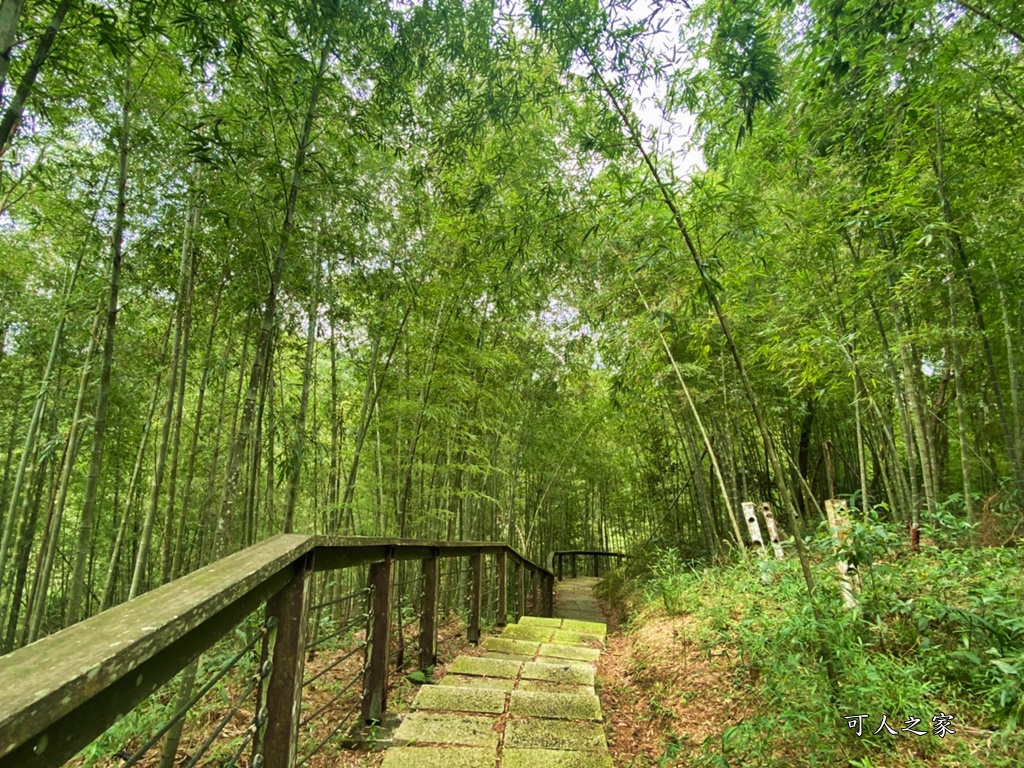 嘉義梅山景點,太平國小,太平雲梯附近景點,孝子路步道