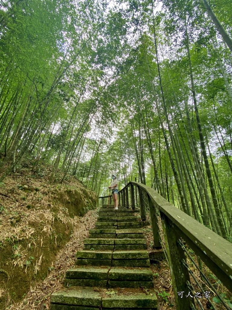 嘉義梅山景點,太平國小,太平雲梯附近景點,孝子路步道