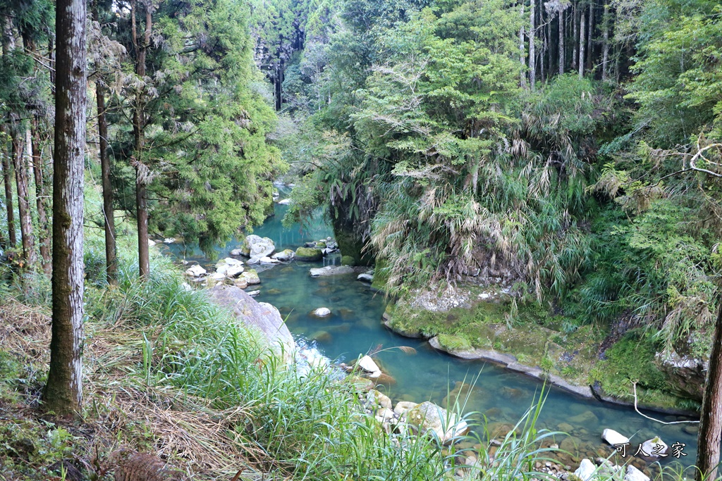 杉林溪森林生態渡假園區