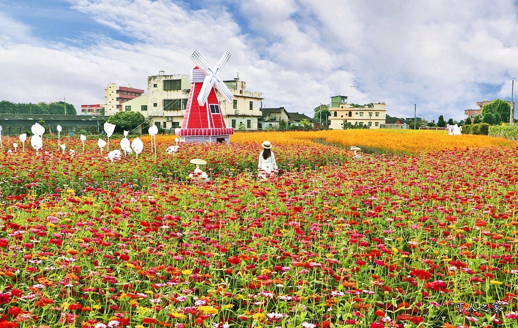 田尾花海秋收花宴嘉年華