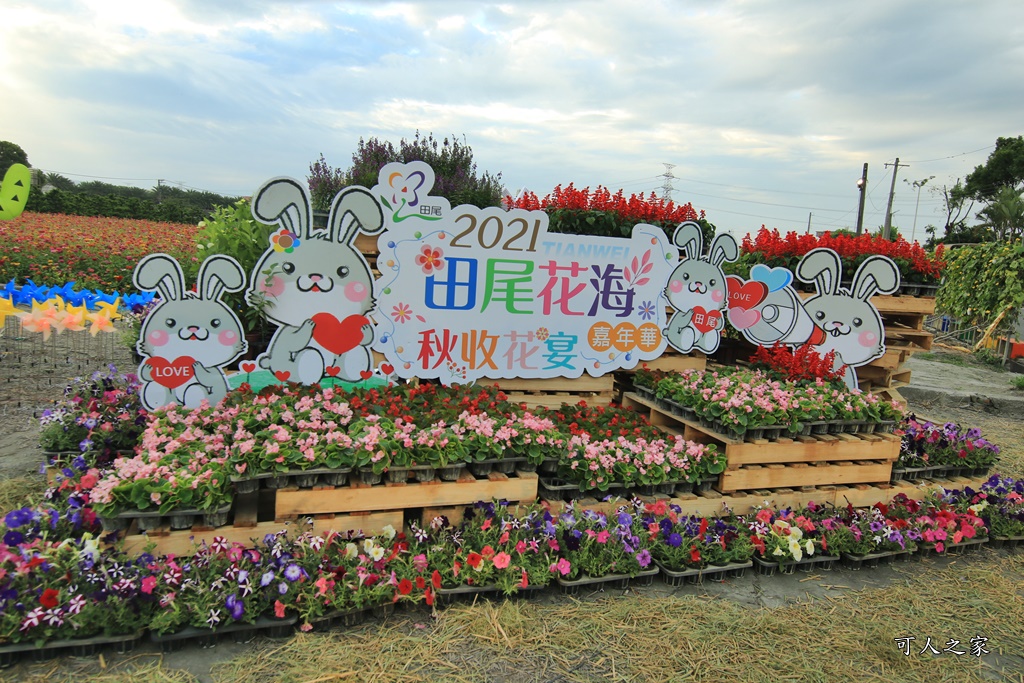 田尾花海秋收花宴嘉年華