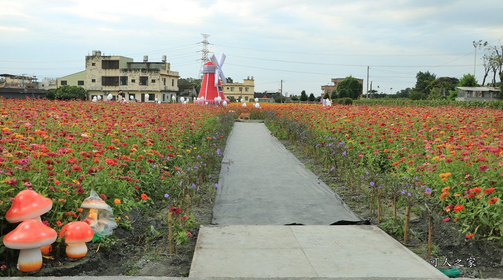 田尾花海秋收花宴嘉年華