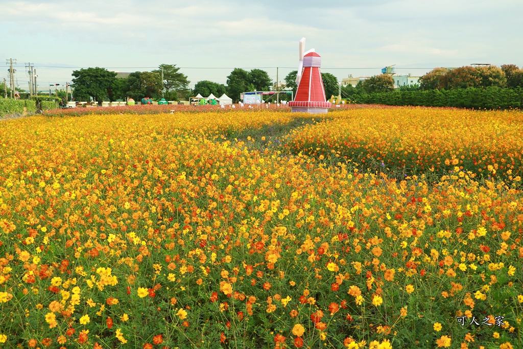 田尾花海秋收花宴嘉年華