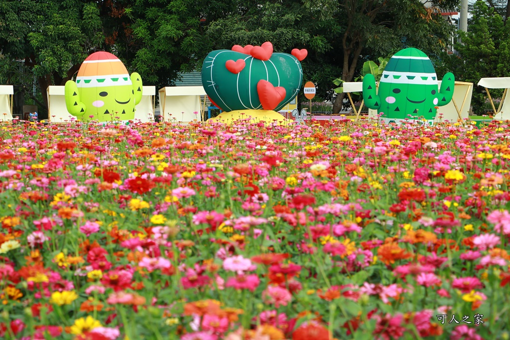 田尾花海秋收花宴嘉年華