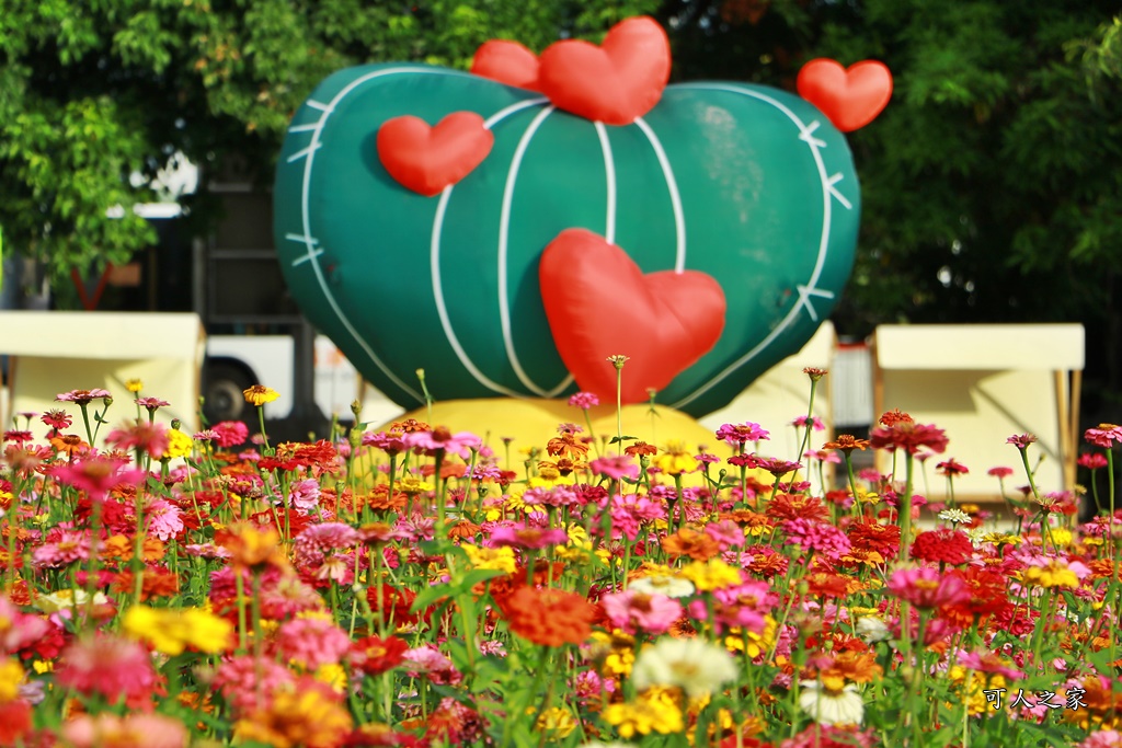 田尾花海秋收花宴嘉年華