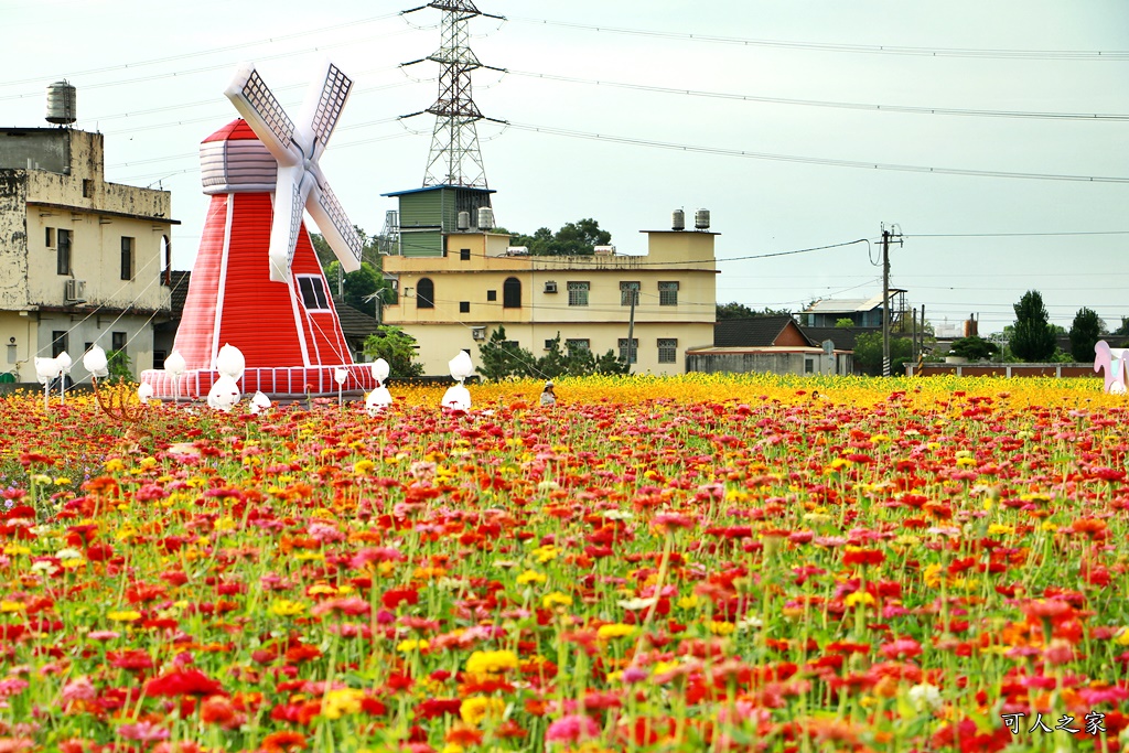 田尾花海秋收花宴嘉年華