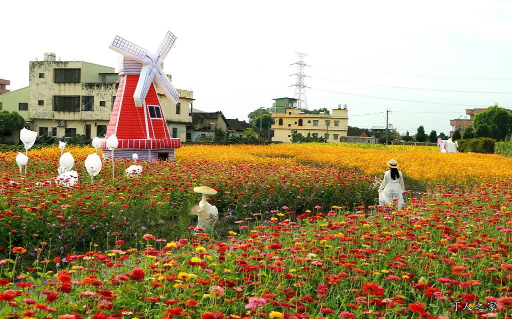 田尾花海秋收花宴嘉年華