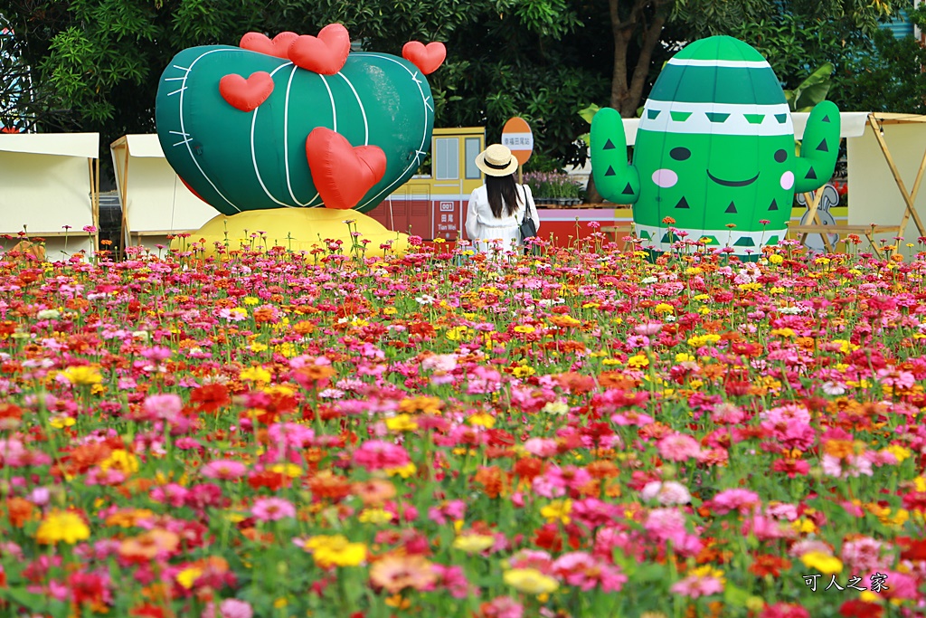 田尾花海秋收花宴嘉年華