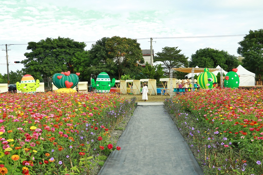 田尾花海秋收花宴嘉年華