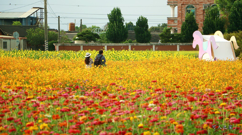 田尾花海秋收花宴嘉年華