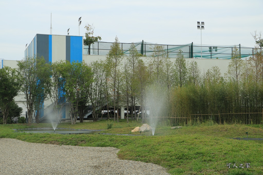 落羽松水景公園