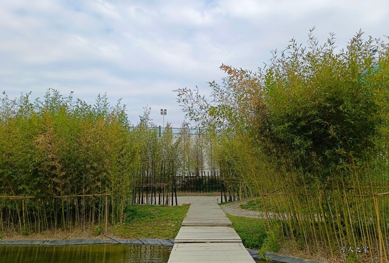 落羽松水景公園