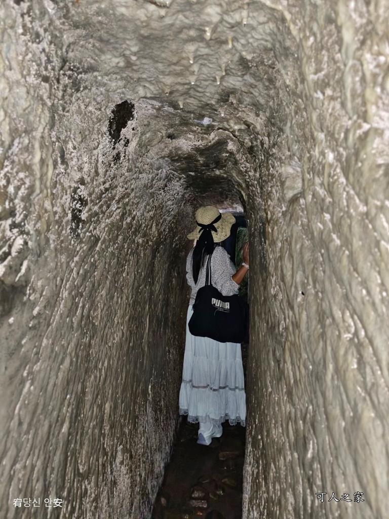 LINE_ALBUM_太平蝙蝠洞_211129_5 @可人之家 @可人之家