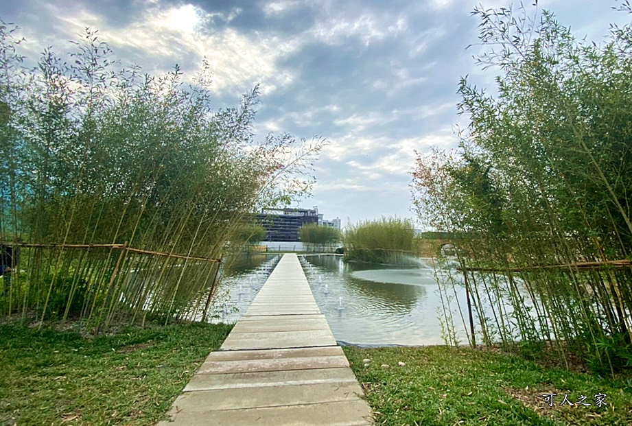 落羽松水景公園