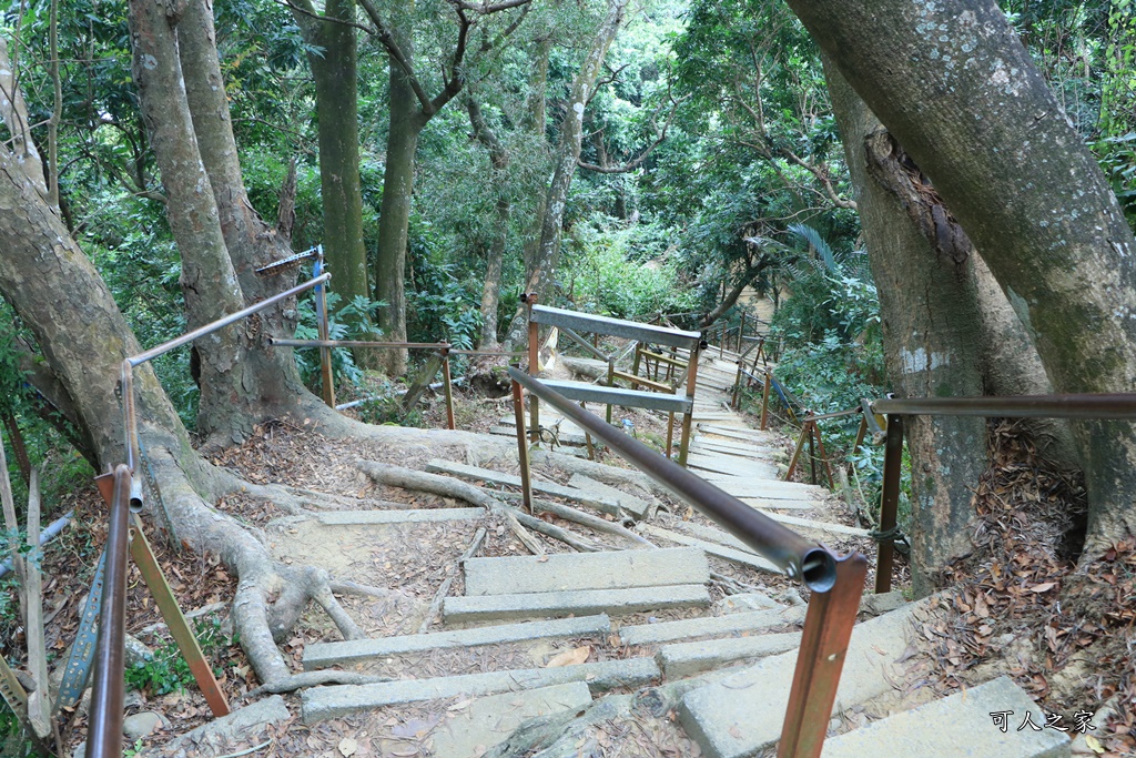 南觀音山步道