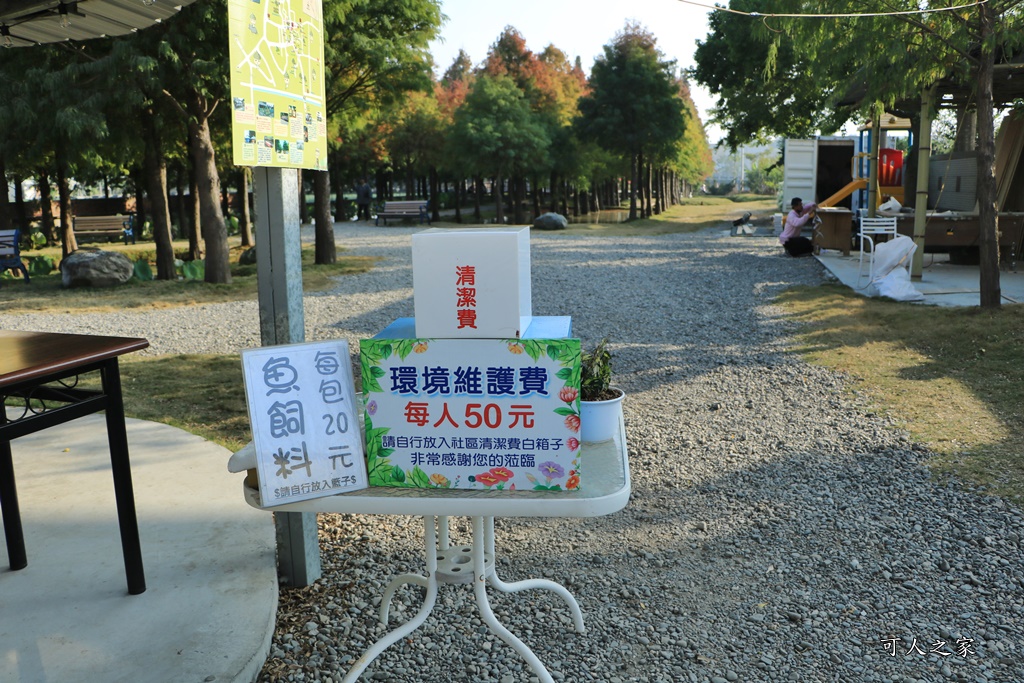 2021虎尾堀頭28落羽松秘境,虎尾落羽松,虎尾落羽森林,雲林新秘境,雲林景點