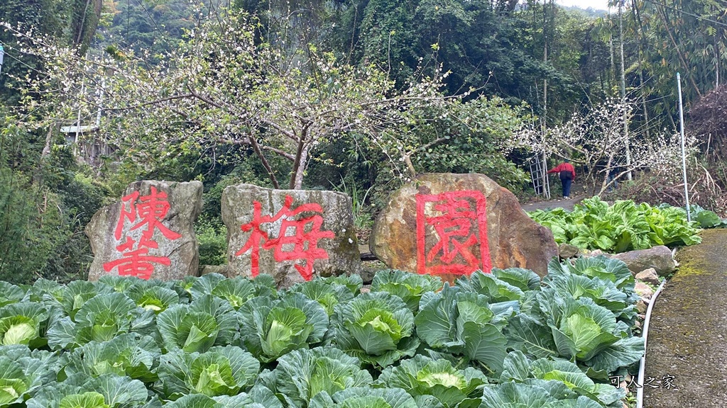 陳董梅園