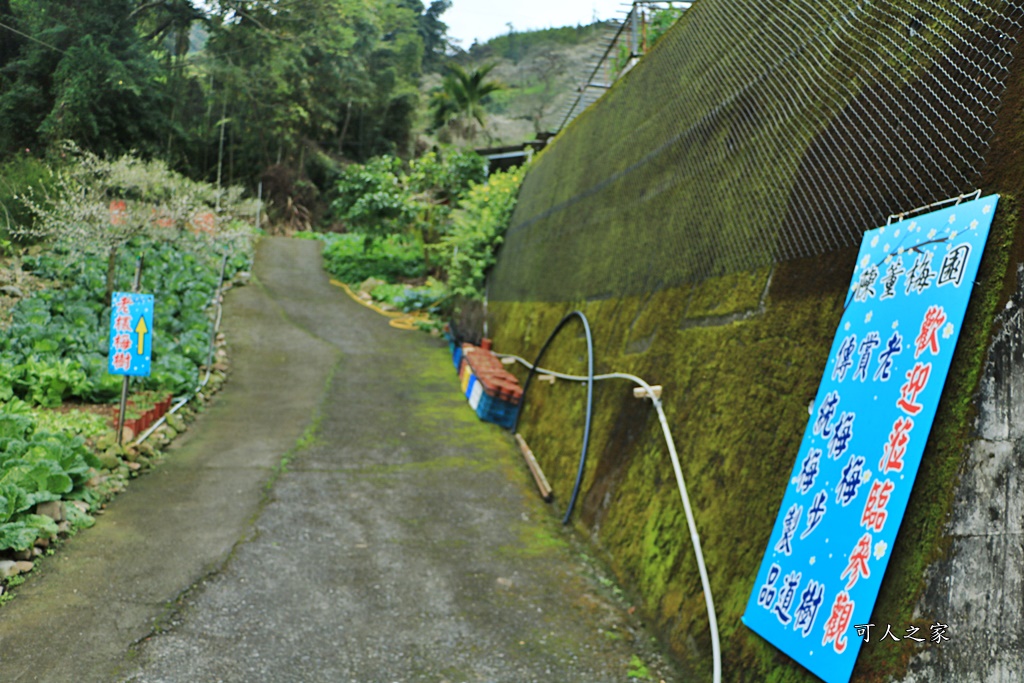 陳董梅園